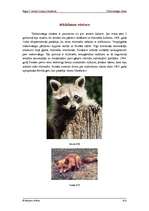 Referāts 'Trakumsērgas vīruss', 3.