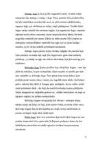 Referāts 'Ēkas un pagalmi Latvijā', 15.