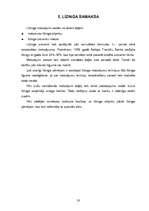 Referāts 'Līzinga būtība, veidi, darījumi', 20.