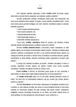 Referāts 'Veselību veicinošas skolas modelis', 2.