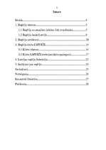 Referāts 'Regbijs', 1.