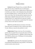 Referāts 'Regbijs', 8.