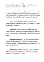 Referāts 'Regbijs', 10.