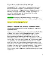 Konspekts 'Pilsētas novada uzņēmums', 5.