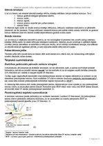 Referāts 'Absolūtā gaismas jutība, telpiskā summēšanās un summēšanās laikā, redzes sistēma', 4.