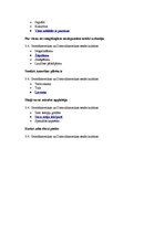 Konspekts 'Tests kultūras vēsturē', 7.