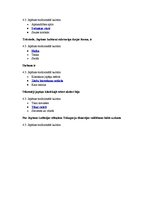 Konspekts 'Tests kultūras vēsturē', 12.