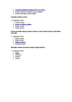 Konspekts 'Tests kultūras vēsturē', 13.