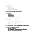 Konspekts 'Tests kultūras vēsturē', 15.