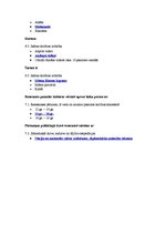 Konspekts 'Tests kultūras vēsturē', 20.