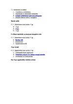 Konspekts 'Tests kultūras vēsturē', 23.