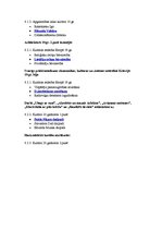 Konspekts 'Tests kultūras vēsturē', 24.