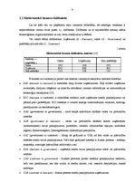 Referāts 'E - bizness', 9.