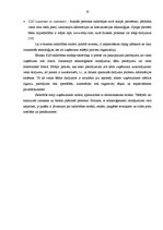 Referāts 'E - bizness', 10.