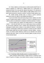 Referāts 'E - bizness', 22.