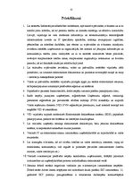 Referāts 'E - bizness', 32.