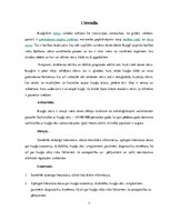 Referāts 'Kuņģa vēzis', 4.