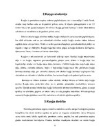 Referāts 'Kuņģa vēzis', 6.