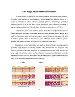 Referāts 'Kuņģa vēzis', 11.