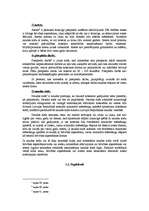 Referāts 'Krimināllikumā paredzētie soda veidi', 5.