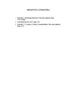 Referāts 'Krimināllikumā paredzētie soda veidi', 14.