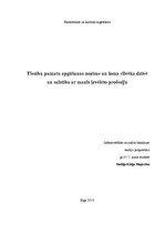 Eseja 'Tiesību pamatu apgūšanas nozīme un loma cilvēka dzīvē un saistība ar manis izvēl', 1.