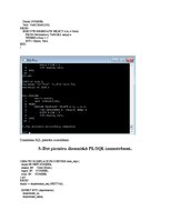 Paraugs 'Servera programmēšanas valodas PL/SQL (SQL valodas paplašinājums) izmantošana', 16.