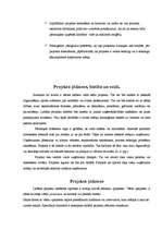 Referāts 'Vadības stilu raksturojums', 2.