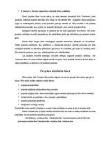 Referāts 'Vadības stilu raksturojums', 10.