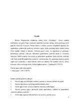 Prakses atskaite 'Prakses atskaite vidusskolā', 3.