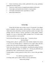 Prakses atskaite 'Prakses atskaite vidusskolā', 4.