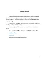 Prakses atskaite 'Prakses atskaite vidusskolā', 12.