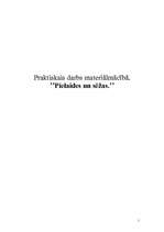 Referāts 'Pielaides un sēžas', 1.