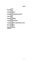 Biznesa plāns 'SIA "Vinnijs"', 2.