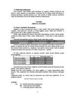 Biznesa plāns 'SIA "Vinnijs"', 7.