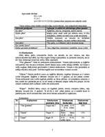 Biznesa plāns 'SIA "Vinnijs"', 8.