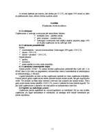 Biznesa plāns 'SIA "Vinnijs"', 11.