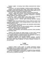 Biznesa plāns 'SIA "Vinnijs"', 13.