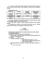 Biznesa plāns 'SIA "Vinnijs"', 14.