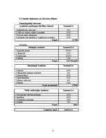 Biznesa plāns 'SIA "Vinnijs"', 15.