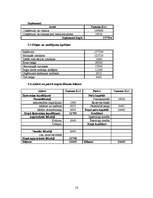 Biznesa plāns 'SIA "Vinnijs"', 16.