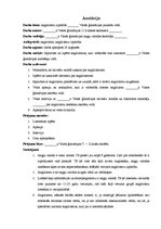 Referāts 'Anglicismu izplatība', 2.