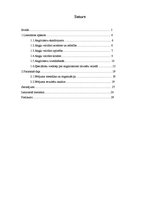 Referāts 'Anglicismu izplatība', 4.