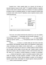 Referāts 'Anglicismu izplatība', 25.