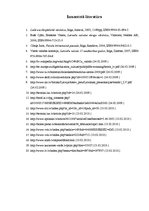 Referāts 'Anglicismu izplatība', 27.