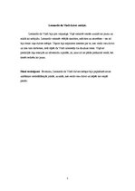 Referāts 'Pētījums par Leonardo da Vinči', 5.