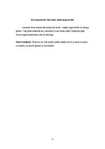 Referāts 'Pētījums par Leonardo da Vinči', 13.