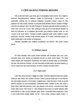 Referāts 'Tūrisma resursu klasifikācija Cēsu rajonā', 9.