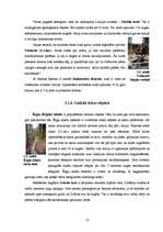 Referāts 'Tūrisma resursu klasifikācija Cēsu rajonā', 13.