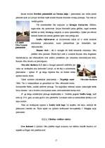 Referāts 'Tūrisma resursu klasifikācija Cēsu rajonā', 17.